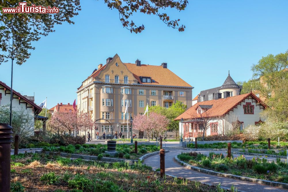 Immagine Primavera nel parco Tradgardsforeningen a Linkoping, Svezia. 