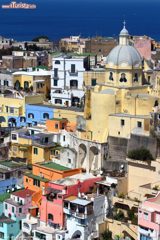 Immagine Procida, baia di Napoli, e la case colorate dei pescatori (Campania) - © giannimarchetti / Shutterstock.com