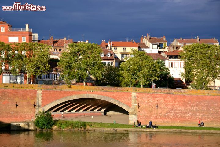 Immagine La promenade Henri Martin sulla riva destra della Garonne, a pochi passi dal Pont Neuf, nel centro di Tolosa (Toulouse).