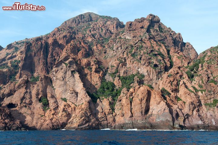 Immagine Promontorio di Scandola: la Riserva Naturale nella parte occidentale della Corsica - istituita nel 1975, questa incredibile riserva naturale nell'occidente della Corsica, è entrata nel 1983 a far parte della lista dei Patrimoni dell'Umanità creata dall'UNESCO e, visitando questo luogo, si capisce che questo titolo non poteva essere più corretto. La Riserva di Scandola è infatti un vero e proprio patrimonio dell'umanità, popolato da maestose rocce vulcaniche originatesi milioni di anni fa, che si ergono a picco sul mare con i loro colori e le loro sfumature e da specie floristiche e faunistiche di enorme importanza e varietà: dai fondali di posidonia, all'acquila pescatrice, ai delfini che spesso e volentieri, si avvicinano curiosi e alle imbarcazioni turistiche. 