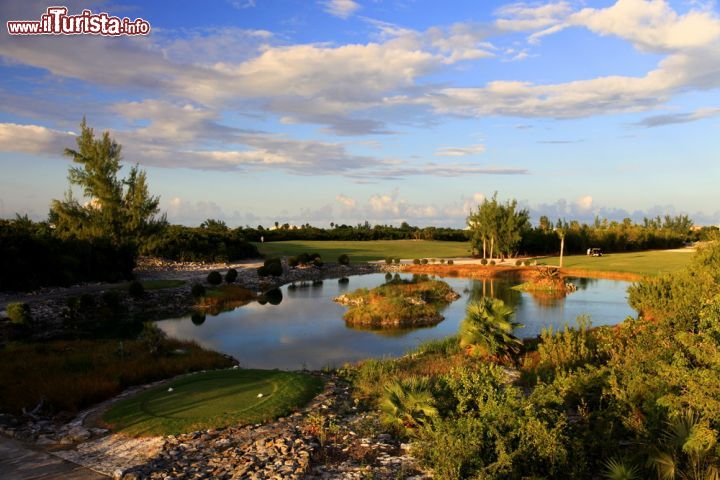 Immagine Il Provo golf club, è un resort all inclusive che si trova sull'isola di Providenciales, nell'arcipelago di Turks and Caicos. Nonstante sia un campo da nove buche solamente, la sua collocazione in un vero Paradiso Tropicale lo rende uno dei campi da golf più apprezzati dei Caraibi. A rendere più sfidanti le competizioni è spesso il vento, dato che il flusso dei venti alisei, specie in invenro e primavera, rende decisamente più problematici i colpi dei golfisti.