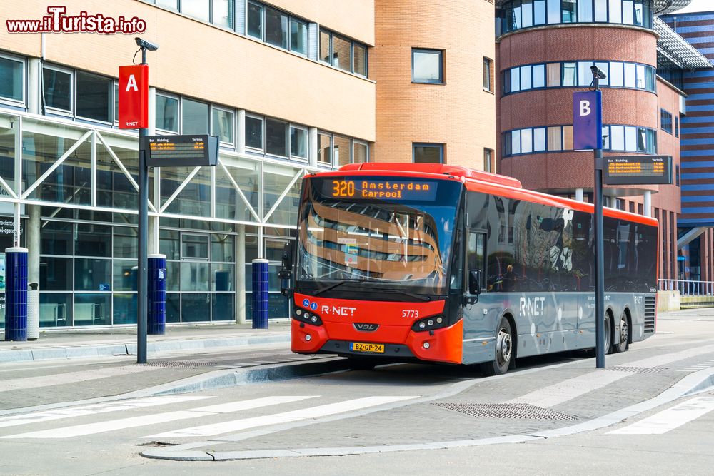 Immagine Pullman parcheggiato di fronte alla stazione ferroviaria di Hilversum, Olanda - © TasfotoNL / Shutterstock.com