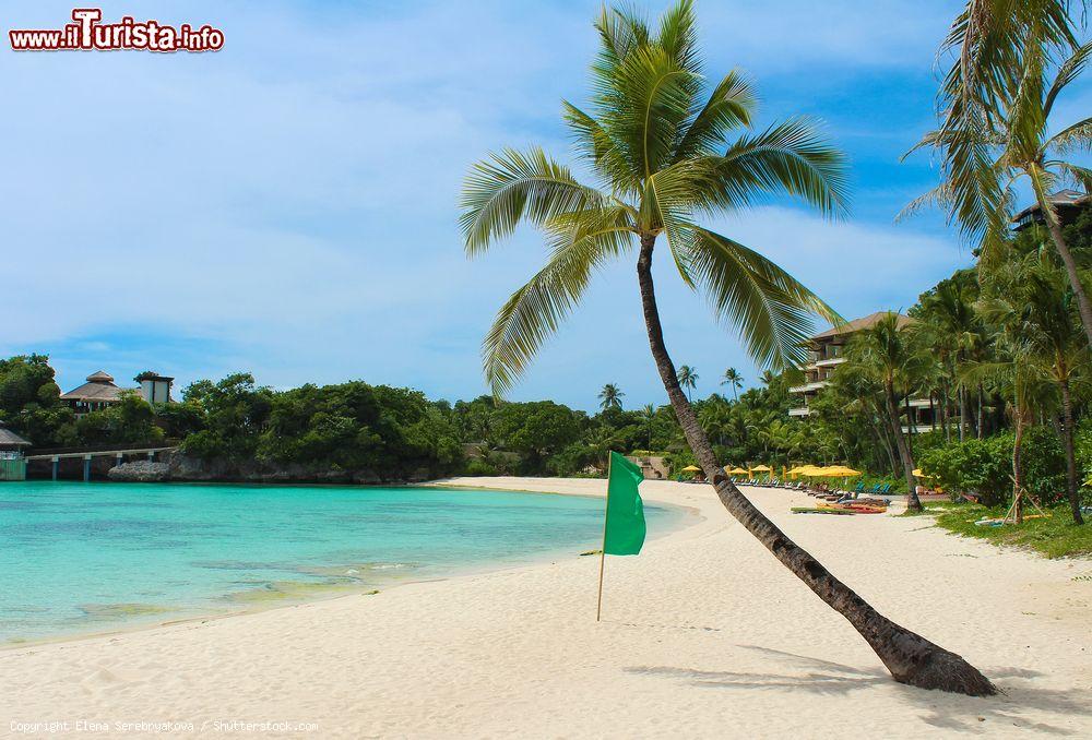 Immagine La sabbia chiara e le palme di Punta Bunga Beach, nell'estremo nord-ovest dell'isola di Boracay (Filippine) - foto © Elena Serebryakova / Shutterstock.com