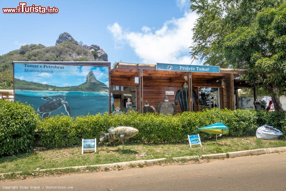 Immagine Quartier generale del Projeto Tamar al Boldro Village, isola di Fernando de Noronha, Pernambuco, Brasile.  In quest'area si proteggono le tartarughe dall'estinzione  - © Diego Grandi / Shutterstock.com