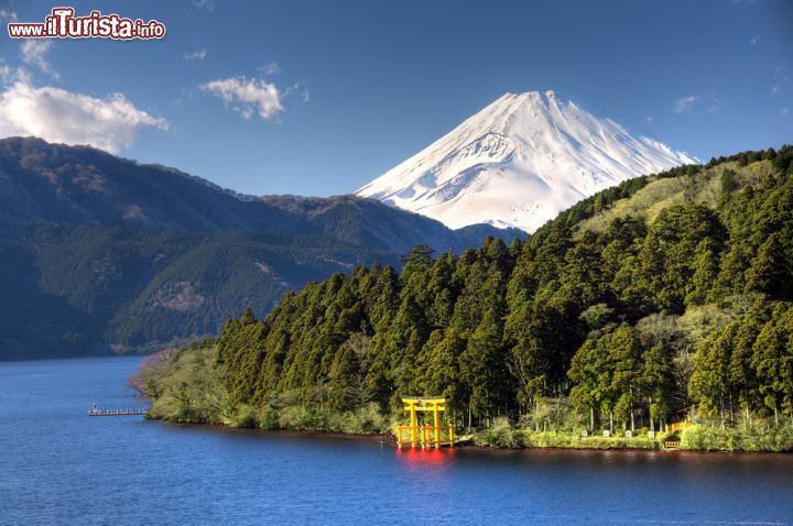 Immagine Lago Ashinoko a Hakone, Giappone - Formato nella caldera del monte Hakone dopo l'ultima eruzione del vulcano 3 mila anni fa, il lago Ashinoko, assieme al Fuji, è oggi il simbolo per eccellenza di questa bella cittadina nei pressi di Tokyo. Il più suggestivo panorama del lago, con la montagna sacra sullo sfondo e uno dei tanti tori (la tradizionale porta all'ingresso o all'interno di un santuario shintoista), lo si può ammirare facendo un giro in barca oppure salendo sulla terrazza dell'Hakone Detached Palace Garden © Krishna.Wu / Shutterstock.com