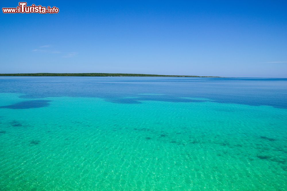 Immagine Il reef dell'arcipeago di Jardines del Rey, che sorge lungo la costa atlantica di Cuba.