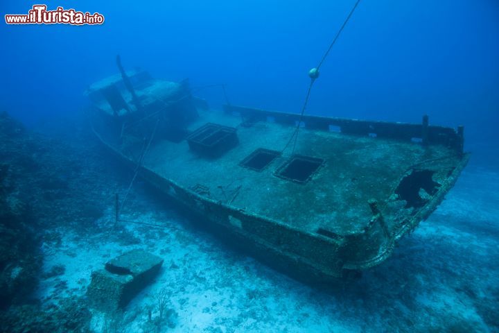 Immagine Relitti nei fondali di Roatan, Honduras - Se le specie animali che popolano i fondali del mare che circonda Roatan sono fra le più belle dei Caraibi, sub e chi pratica snorkelling potranno ammirare da vicino anche relitti di navi. Che siano forse quelli delle imbarcazioni affondate dal pirata Henry Morgan? © Stubblefield Photography / Shutterstock.com