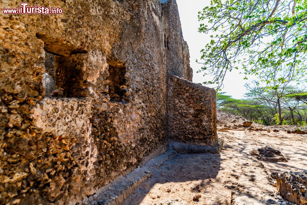 Immagine Resti della Friday Mosque di Takwa, Manda Island, Kenya. L'edificio religioso venne costruito con strati di corallo locale.