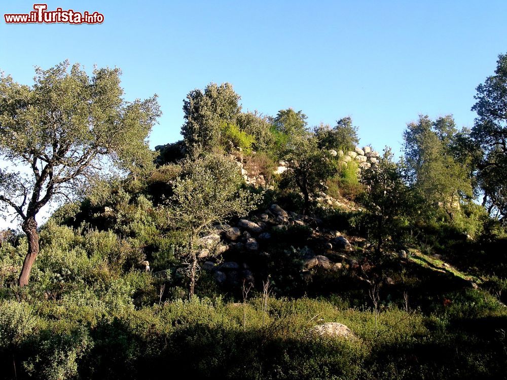 Immagine Resti nuragici a Su Linnamene, sito di Noddule, Sardegna. Situato sulla SS 389 in direzione Orune-Bitti, questo sito archeologico possiede una grande varietà di monumenti.