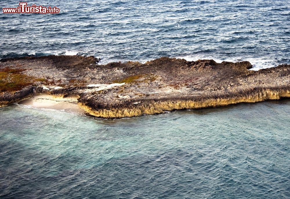 Immagine resto di una antica barriera corallina a Berry Island, Bahamas