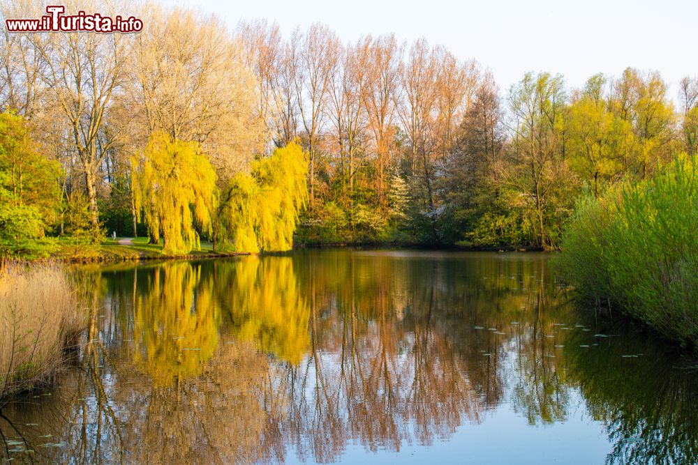 Immagine Riflessi del foliage autunnale di un parco al Westerpark Lake vicino a Zoetermeer, Olanda.