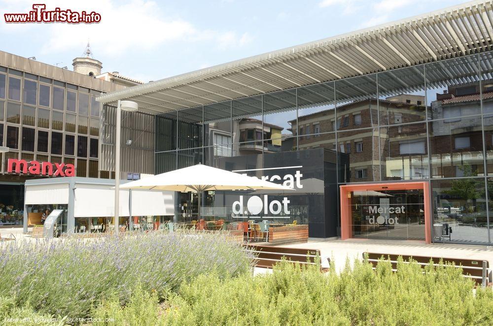 Immagine Riflessi di edifici sulla facciata in vetro del mercato di Olot, Catalogna, Spagna - © monysasu / Shutterstock.com