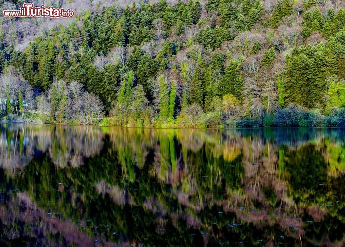 Immagine Riflessi in autunno sul Lago Piccolo di Monticchio - © Gianluca Foto/ Shutterstock.com