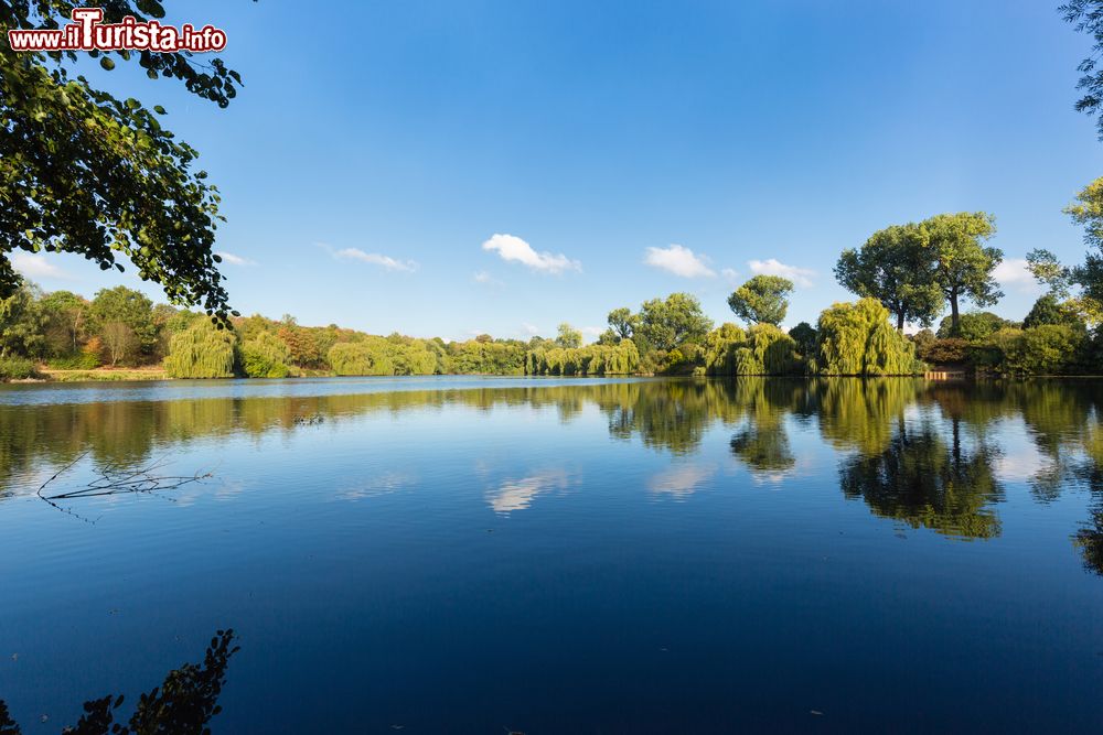 Immagine Riflessi sull'acqua del lago a Krefeld, Germania. Nota come "Città del Velluto e della Seta", Krefeld è ricca di monumenti e palazzi storici immersi in un incantevole paesaggio naturale fatto di aree boschive, laghi e corsi fluviali.