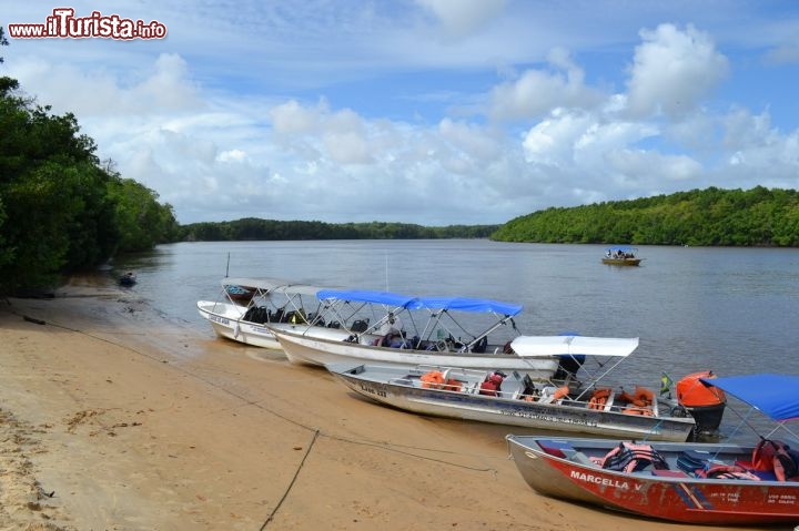 Immagine Rio Preguicas a Vassouras, località nei pressi di Barreirinhas, mnel nord-est del Brasile. Ci troviamo lungo la costa atlatica dello stato di Maranhao