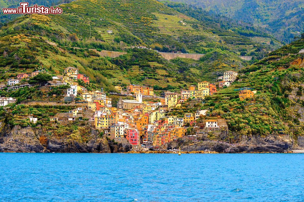 Immagine Riomaggiore, il borgo delle Cinque Terre fotografato dal mare