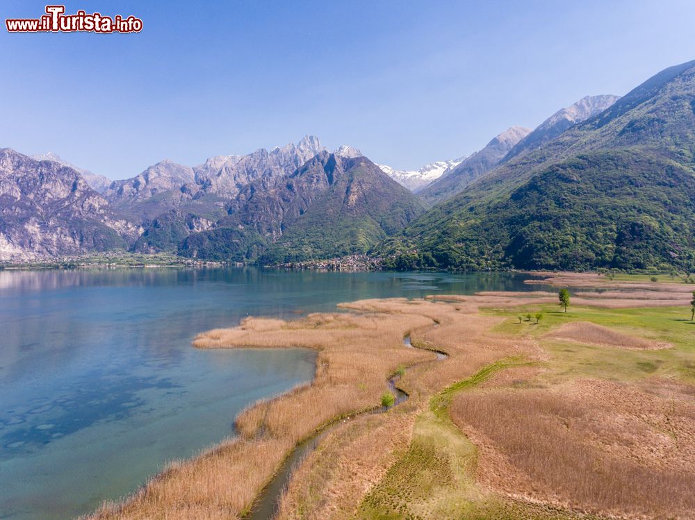 Immagine Riserva Naturale di Pian di Spagna  all'imbocco della Valchiavenna a nord di Colico