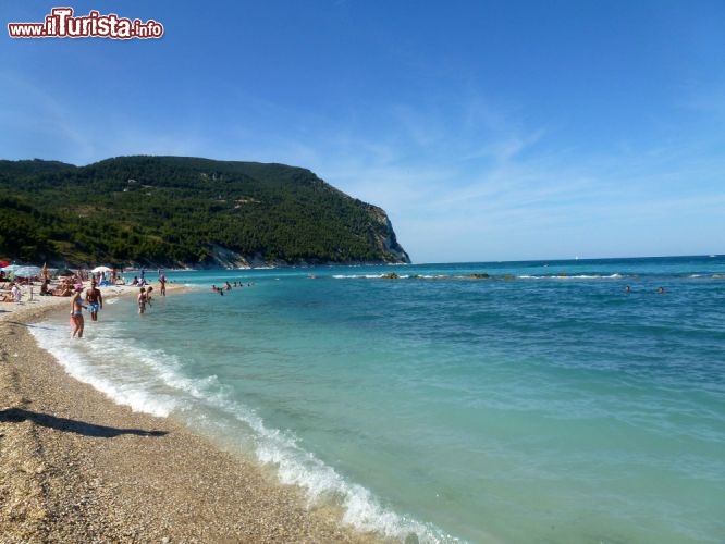 Immagine Riviera del Conero, la spiaggia di San Michele