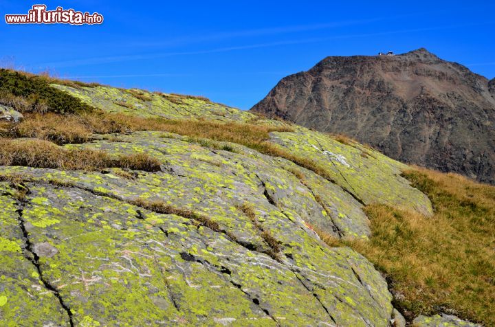 Immagine Rocce con licheni in Val Senales, Trentino Alto Adige. Derivati dall'associazione fra un'alga e un fungo, i licheni sono caratterizzati da un tallo, che in botanica indica il corpo vegetativo degli organismi, e crescono su alberi e rocce che rivestono con uno strato verdastro. Molto spesso vengono erroneamente associati al muschio - © maudanros / Shutterstock.com