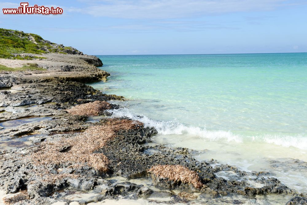 Immagine Rocce sulla costa di Cayo Guillermo a Cuba. L'isola offre anche tre magnifiche spiagge, tra cui Playa Pilar.
