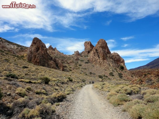 Immagine Scenari mozzafiato generati dalla millenaria erosione di vento e acqua sulle fragili rocce basaltiche nei pressi della caldera del Teide, a Tenerife.