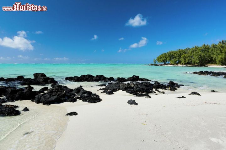 Immagine Isola dei Cervi, Mauritius - Le acque dell'oceano Indiano lambiscono quest'isolotto situato nelle immediate vicinanze di Mauritius: famosa per le grandi distese di sabbia bianca e finissima, l'isola può essere raggiunta solo tramite motoscafo © Olena Granko / Shutterstock.com