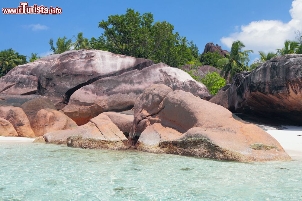 Immagine Rocce vulcaniche sulla spiaggia di Baie Lazare, isola di Mahe, Seychelles