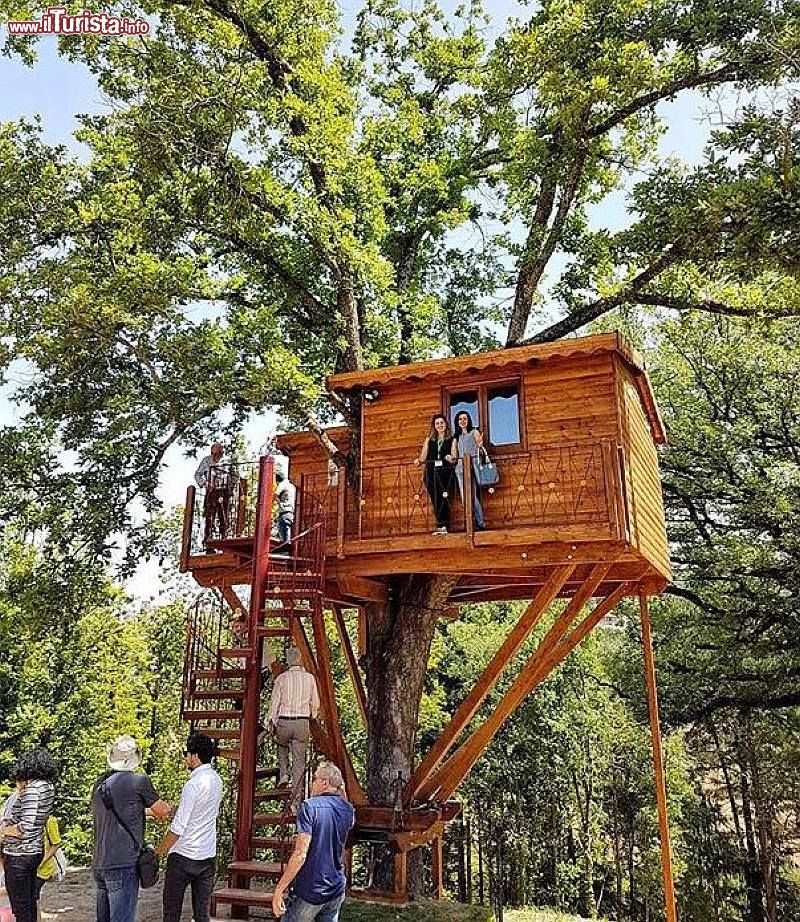 Immagine Rogliano, Calabria, la casetta sull'albero della Tenuta Bocchineri