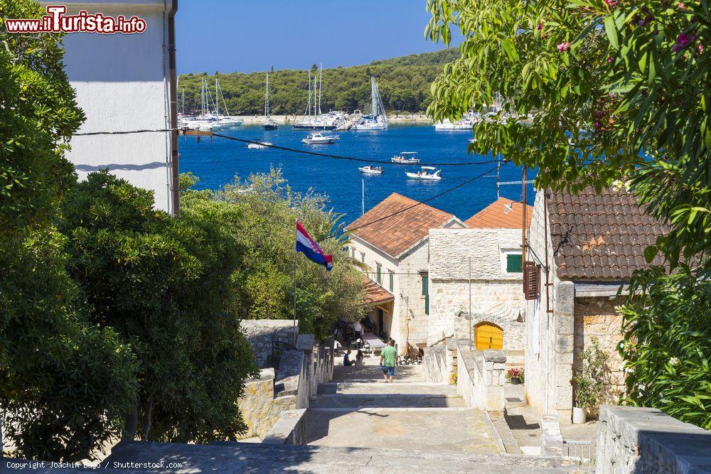 Immagine Rogoznica: il paesino sulla costa della Dalmazia (Croazia) in ua giornata di sole - foto © Joachim Bago / Shutterstock.com