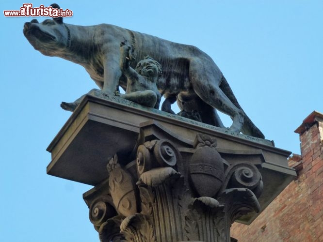 Immagine Monumento alla lupa capitolina a Siena