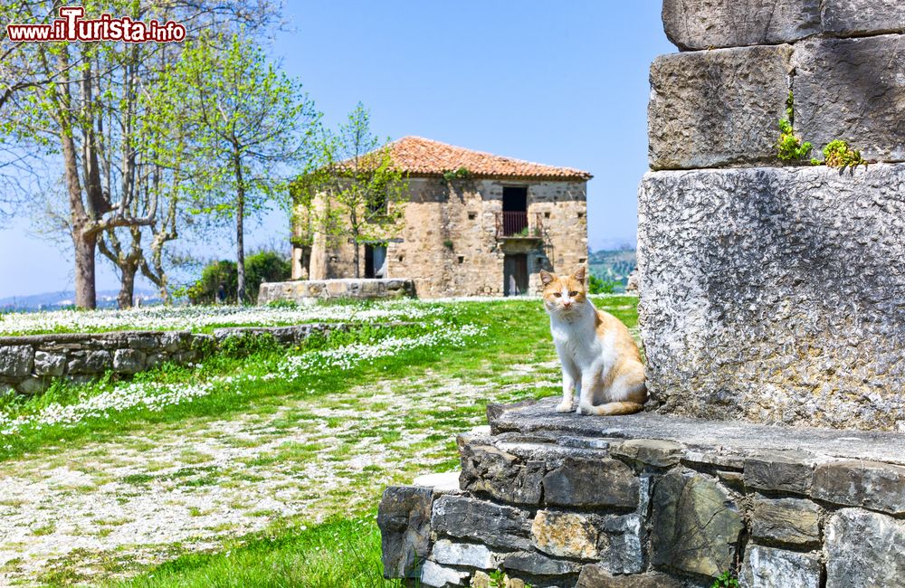 Immagine Roscigno, Campania: il quartiere abbandonato di Roscigno Vecchia, borgo fantasma del CIlento