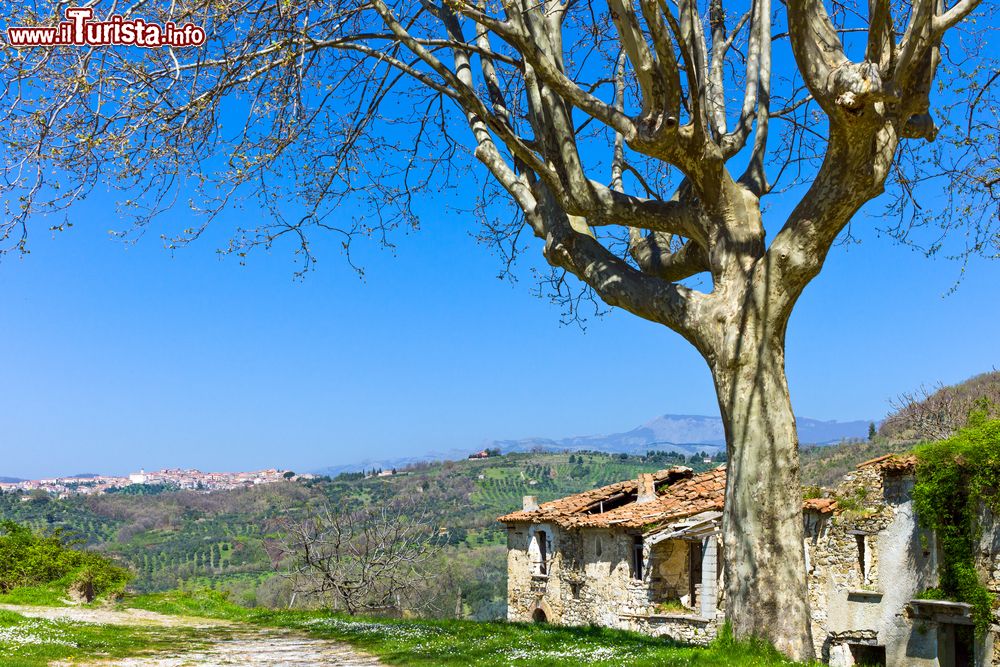 Immagine Roscigno Vecchia e il panorama delle colline del Cilento in Campania