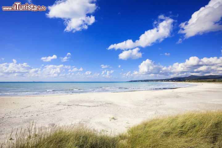 Immagine Rosignano Solvay: la famosa spiaggia bianca della cittadina sul Tirreno, resa così dalle reazioni chimiche derivanti dagli scarti di lavorazione del vicino stabilimento della Solvay.