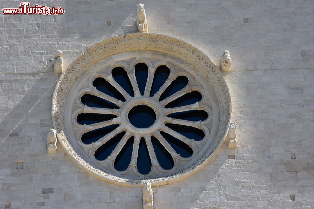 Immagine Rosone sulla facciata della cattedrale medievale di Trani, Puglia. Si tratta di uno degli edifiici religiosi simbolo della cittadina in provincia di Barletta-Andria-Trani.
