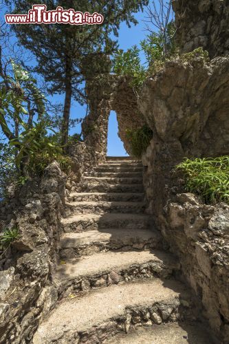 Immagine Rovine all'Isola Bella, Taormina. Dopo aver pagato un biglietto d'accesso a questo isolotto si è liberi di passeggiare fra sentieri e vegetazione sino ad arrivare al museo che si trova in cima. Ovunque troverete deliziosi angoli dove respirare un'atmosfera antica.