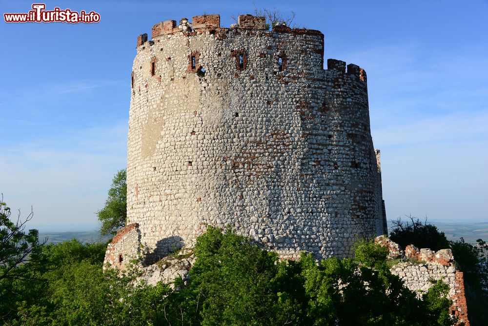 Immagine Rovine del castello di Divci nei pressi di Mikulov, Repubblica Ceca. 