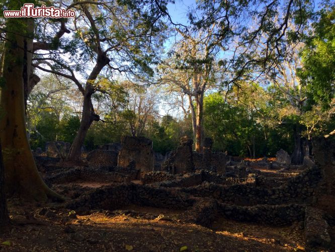 Immagine Rovine di Gede, Watamu: le rovine dell'antica città swahili di Gede, a pochi km da Watamu, sono una delle attrazioni più interessanti dal punto di vista culturale di questa zona del Kenya.