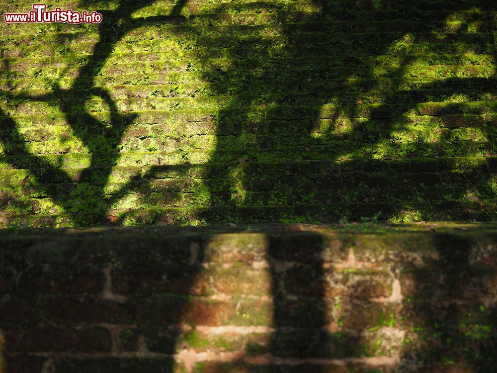 Immagine Rovine di Polonnaruwa, Sri Lanka. Il particolare di uno stupa buddhista.