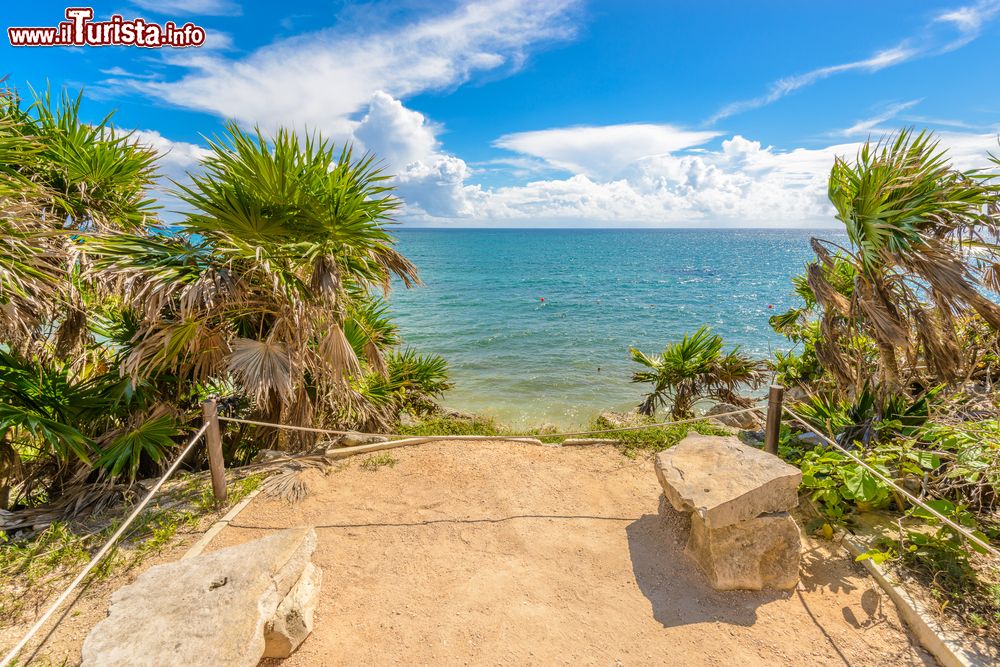 Immagine Rovine maya vicino alla spiaggia di Tulum, Messico. Questa località visse il suo periodo di maggior splendore alla fine del 1000 d.C.: la più bella delle sue strutture, detta "castillo", si trova sul bordo di una scogliera da cui si possono ammirare le acque cristalline del mare.