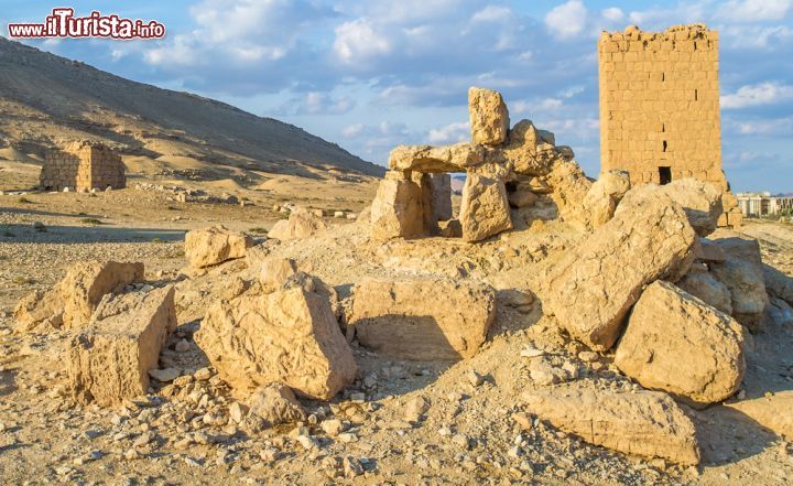 Immagine Il sito archeologico di Palmira era considerato uno dei più spettacolari del medioriente. Ora questo patrimonio dell'umanità è minacciato dalle comtinue battaglie tra forze lealiste di Assad e le milizie dell'ISIS- © Anton_Ivanov / Shutterstock.com