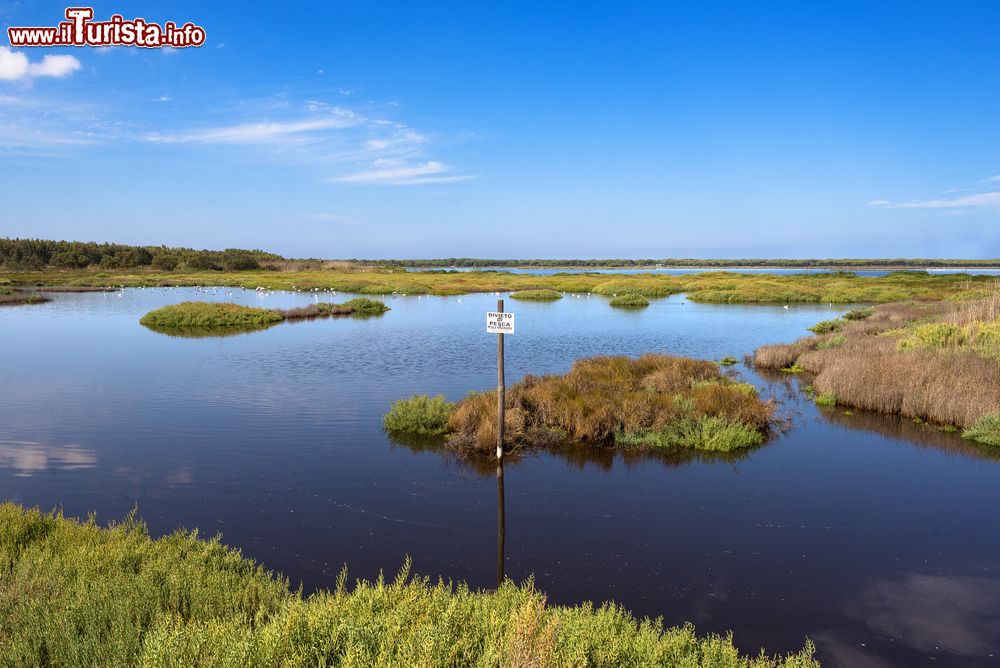 Immagine S'ena Arrubia lo stagno vicino ad Arborea in Sardegna