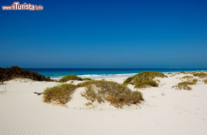 Immagine Saadiyat Beach: è considerata la spiaggia più bella della capitale degli Emirati Arabi Uniti. Si trova su Saadiyat Island ed è ancora relativamente selvaggia, in attesa che siano costruiti i nuovi hotel e resort previsti nel Plan Abu Dhabi 2030.
