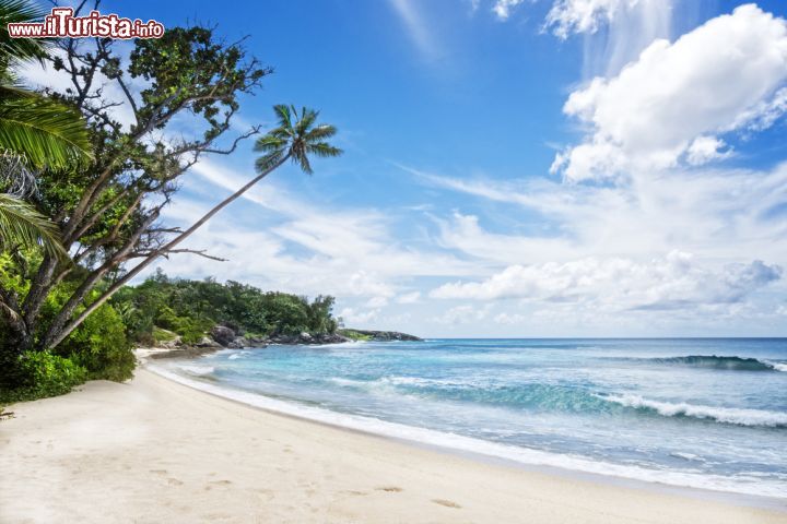 Immagine Sabbia bianca e foresta in una spiaggia tropicale a Silhouette Island, Seychelles, Africa - © Serge Vero / Shutterstock.com