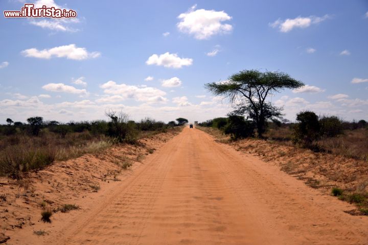 Immagine Safari: il Parco Nazionale dello Tsavo (Kenya) è il più grande del paese, con un'estensione di circa 22000 km quadrati. È stato istituito nel 1948.