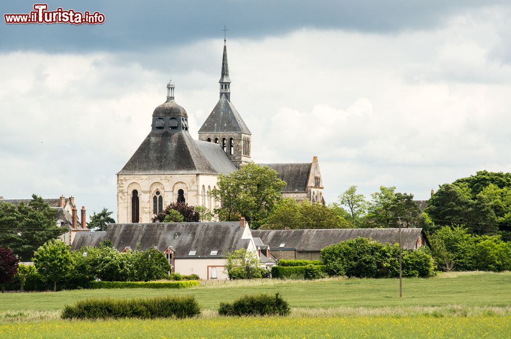 Le foto di cosa vedere e visitare a Saint-Benoit-sur-Loire