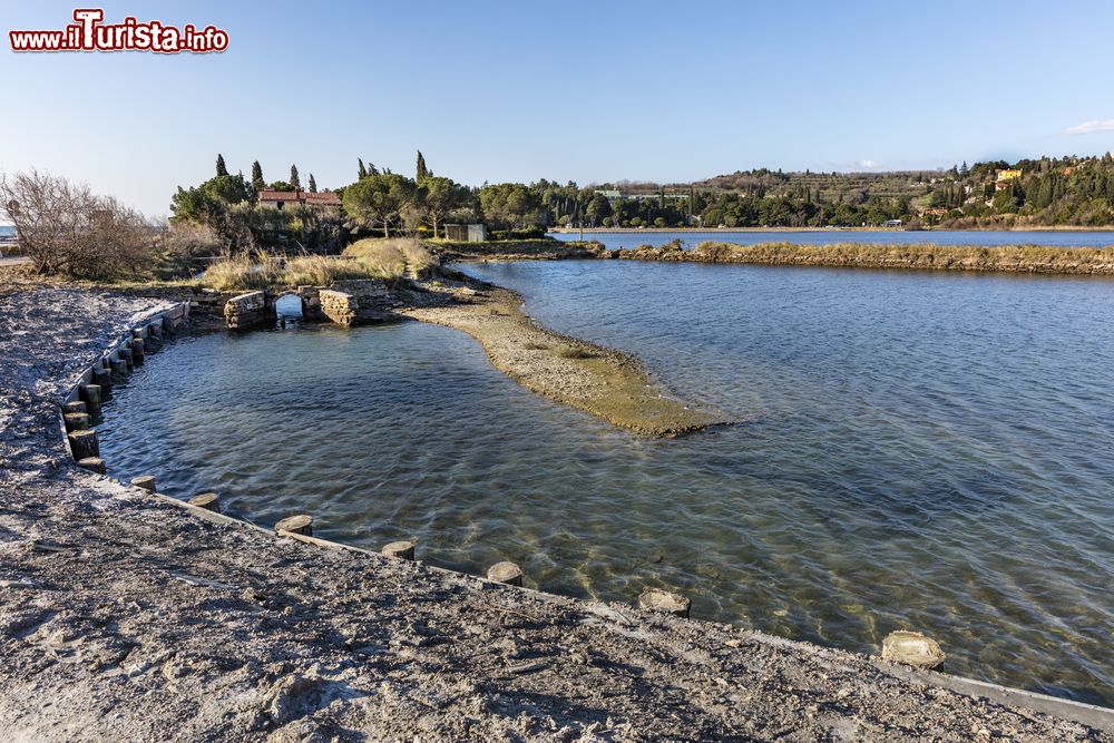 Immagine Salina di Strugnano (Strunjan), siamo in Istria, nella parte della Slovenia