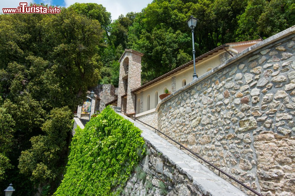 Immagine Salita al Santuario di Greccio, uno dei luoghi di San Francesco nel Lazio