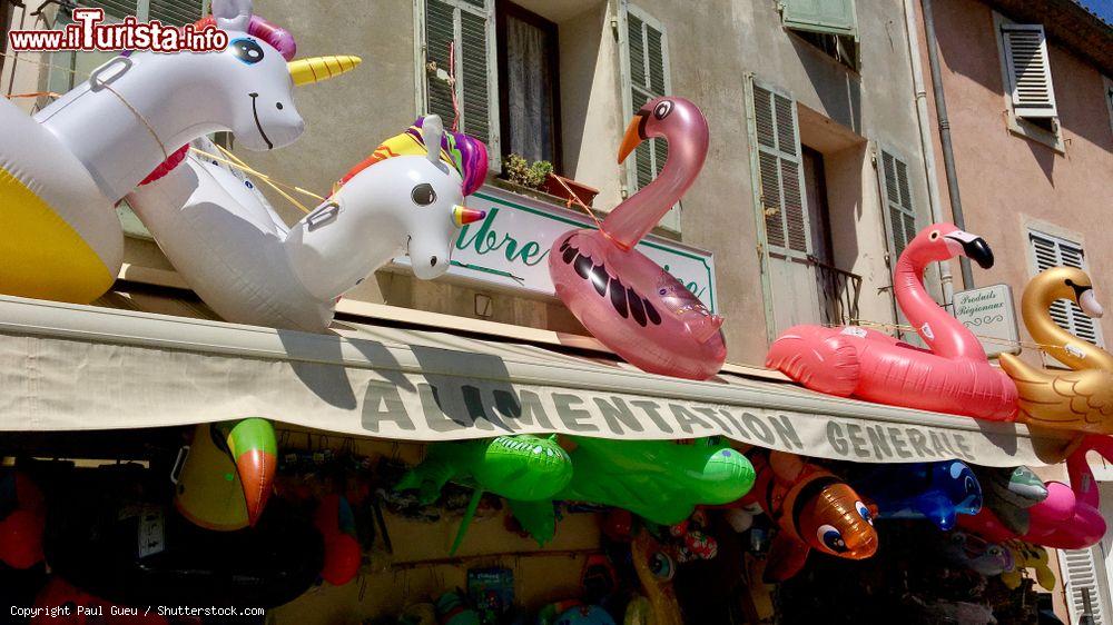 Immagine Salvagenti a forma di animali per bambini in un negozio di Ramatuelle, Francia - © Paul Gueu / Shutterstock.com