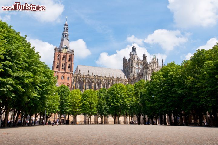 Immagine San Giovanni è il santo a cui è dedicata la splendida cattedrale di Den Bosch. Si tratta del più celebre edificio in stile gotico brabantino a livello nazionale - foto © Donatas Dabravolskas  / Shutterstock.com