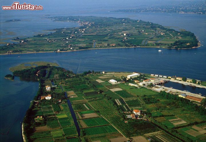 Immagine SantErasmo e Vignole sono due isole della Laguna di Venezia